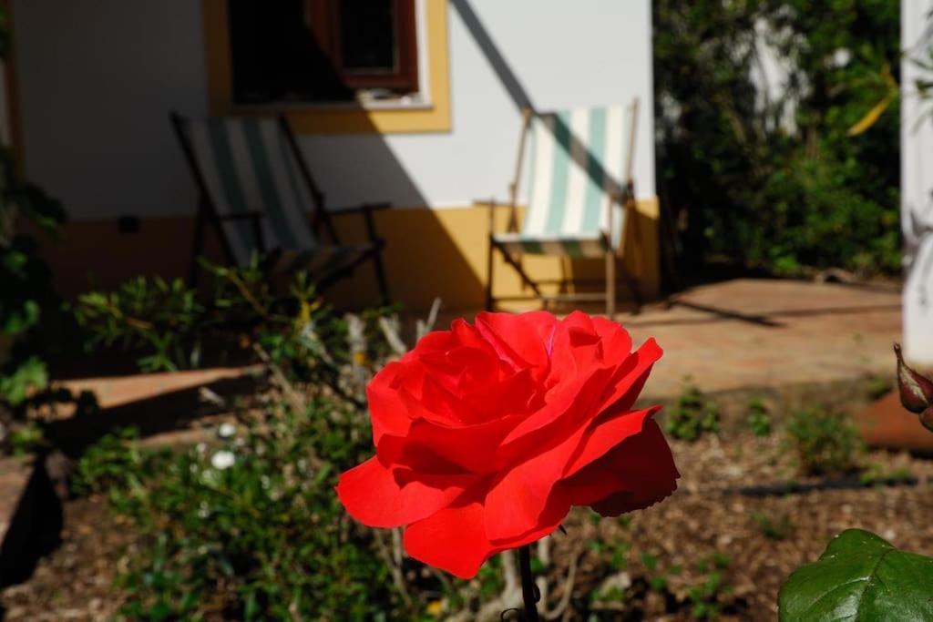 אלג'זור Vale Do Guizo: Casa Poente On The Contryside, Close By The Sea. מראה חיצוני תמונה