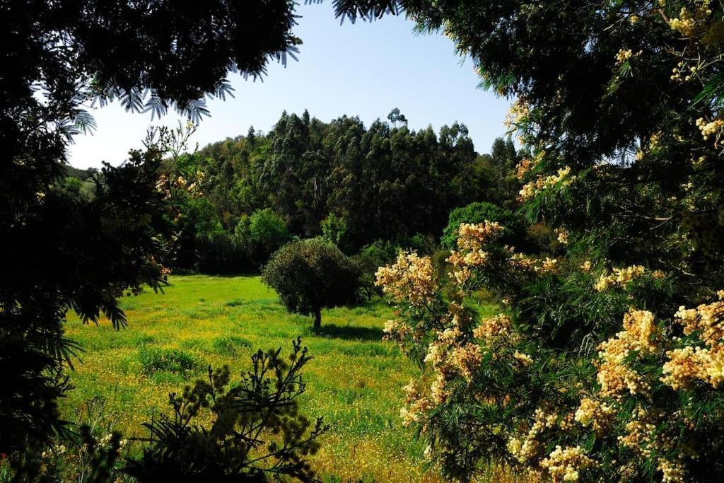אלג'זור Vale Do Guizo: Casa Poente On The Contryside, Close By The Sea. מראה חיצוני תמונה